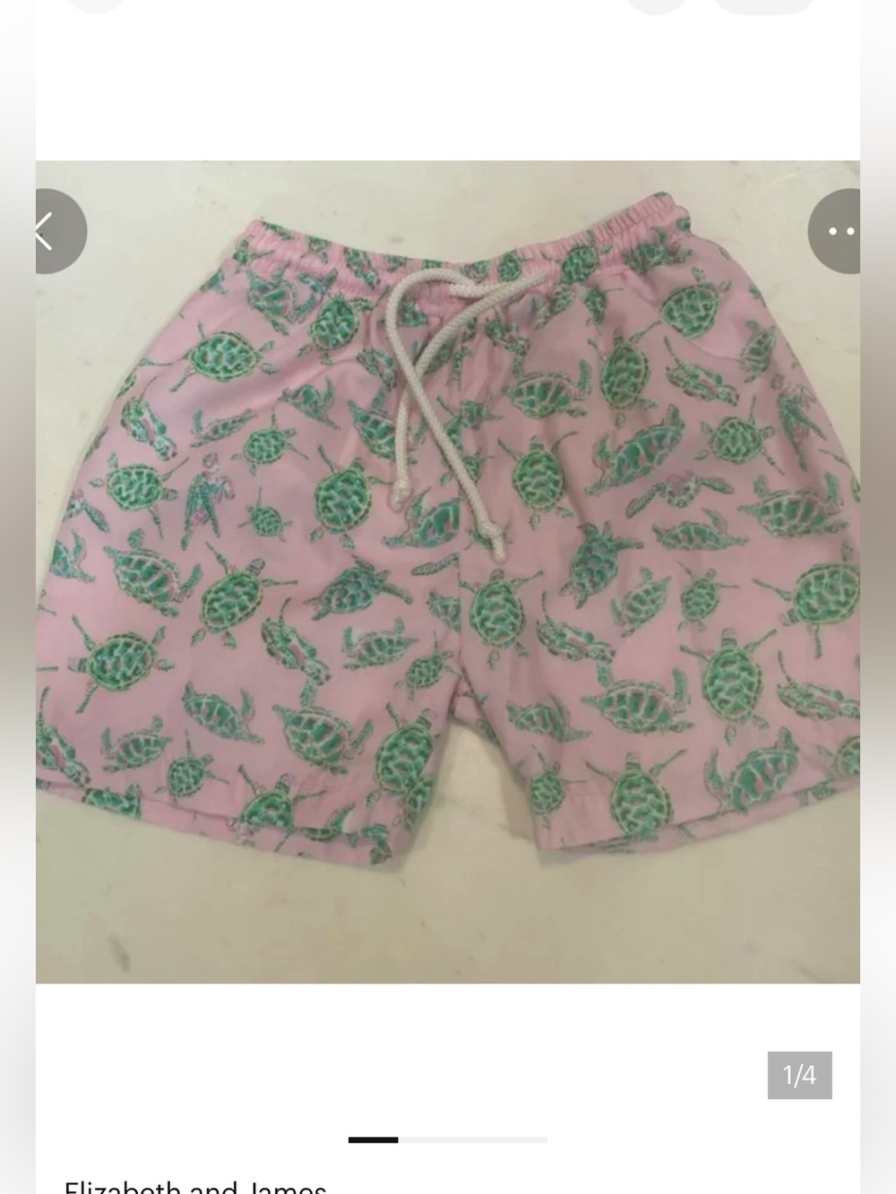 ELiza James Kids Turtle Swim Trunks